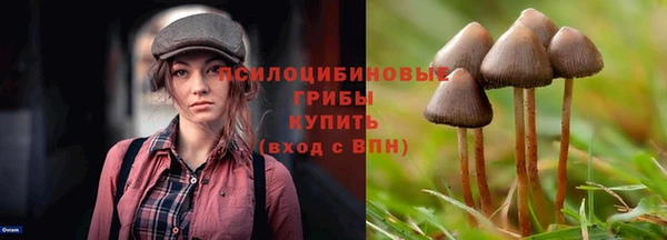 соль ск Алексеевка