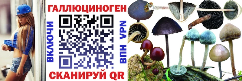 Галлюциногенные грибы MAGIC MUSHROOMS  даркнет сайт  Билибино 